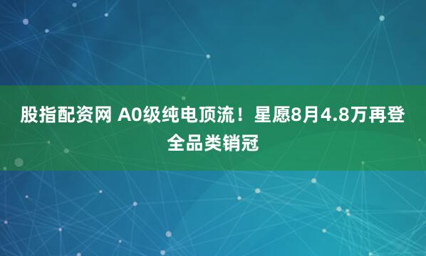 股指配资网 A0级纯电顶流！星愿8月4.8万再登全品类销冠